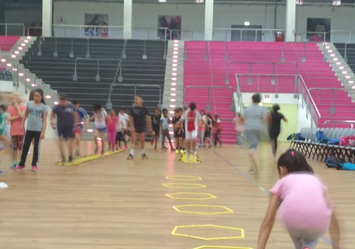 Telekom Baskets (1).jpg
